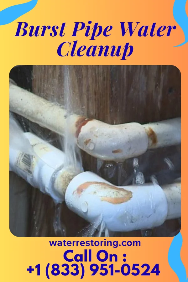 Burst Pipe Water Cleanup in Lake Erie Beach, NY