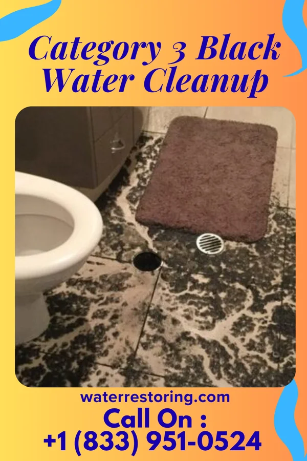 Category 3 Black Water Cleanup in Lake Erie Beach, NY
