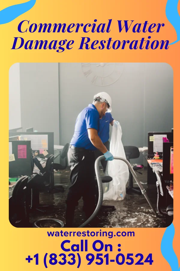 Commercial Water Damage Restoration in Lake Erie Beach, NY