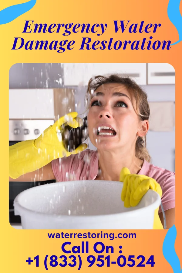 Emergency Water Damage Restoration in Lake Erie Beach, NY