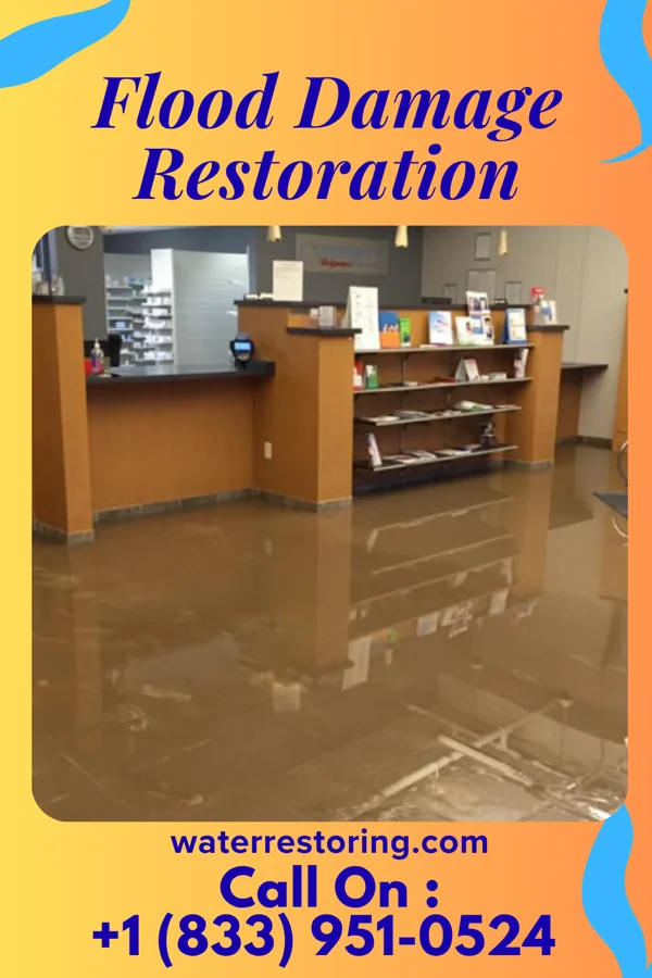 Flood Damage Restoration in Lake Erie Beach, NY
