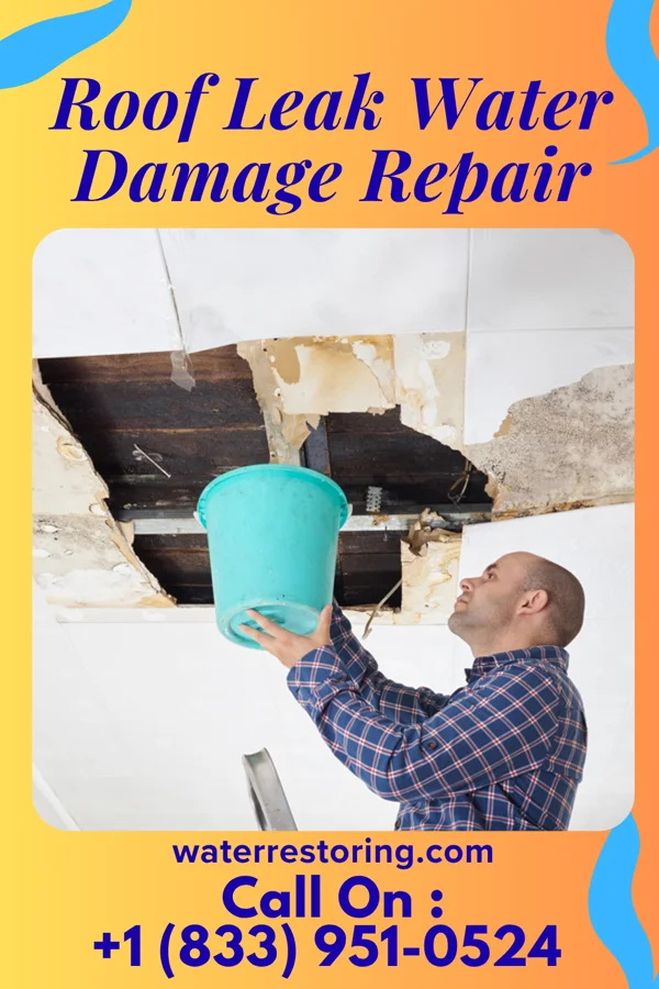 Roof Leak Water Damage Repair in Lake Erie Beach, NY