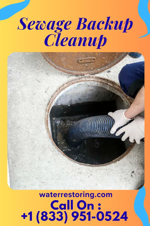 Sewage Backup Cleanup in Lake Erie Beach, NY