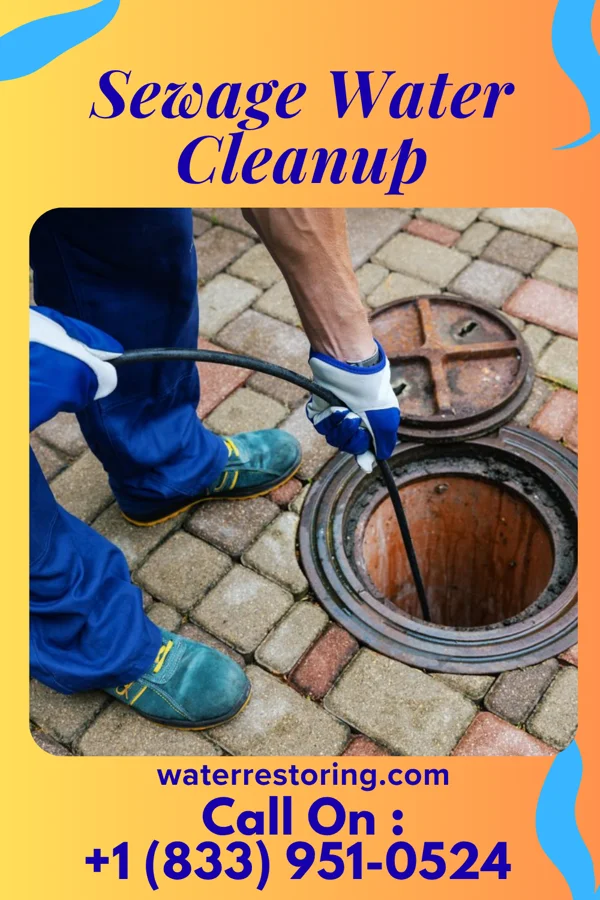 Sewage Water Cleanup in Lake Erie Beach, NY