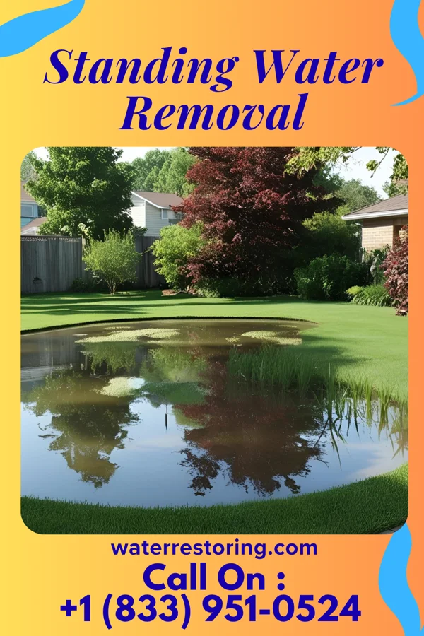 Standing Water Removal in Lake Erie Beach, NY